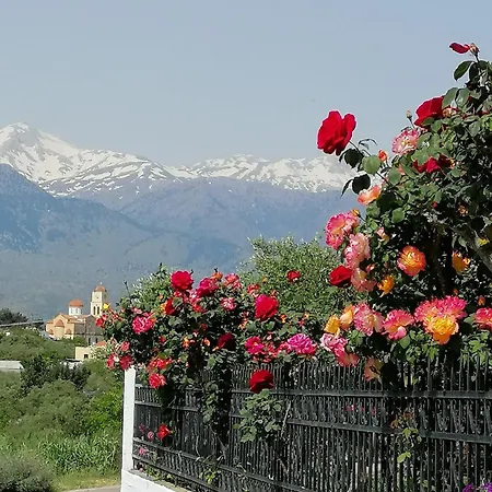 Angelica-sea & Mountain View *